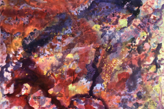 Fire Water